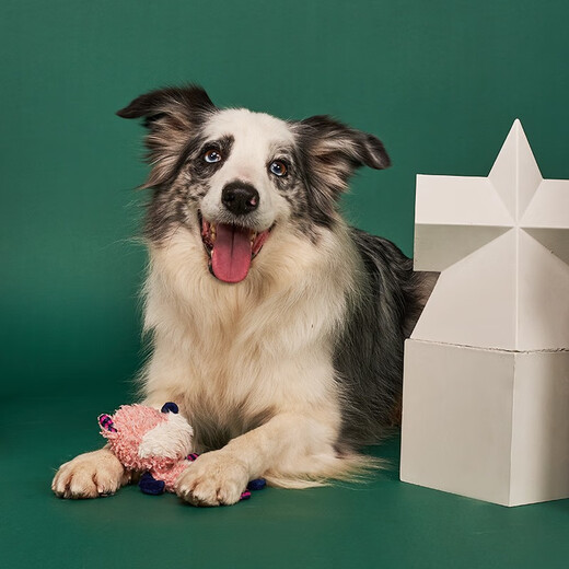 GiGwi Dog Toy Ring Paper Fox Sound Plush Teeth Cleaning Resistant Bite Dog Toy Bite Resistant Puppy Toy Pet Toy