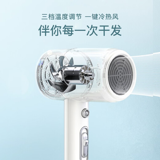 AUX Hair Dryer Home Negative Ions Will Not Damage Hair 1800W High Power High Wind Dormitory Hair Dryer Mini Small Portable Hot and Cold Wind Hair Dryer Gift Pearl White Upgraded Negative Ion Model