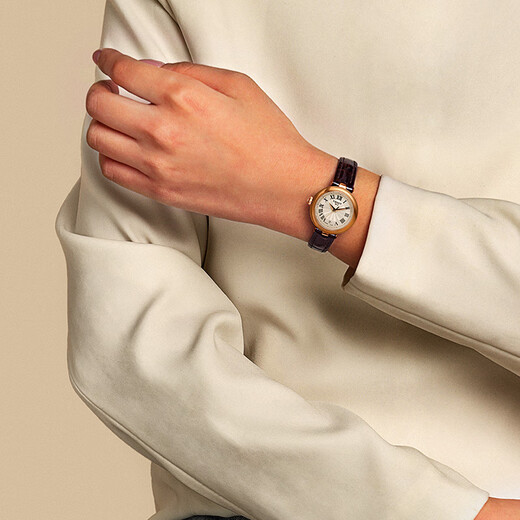 Tissot watch Little Beauty series women's watch Swiss quartz women's belt watch fashion watch New Year gift