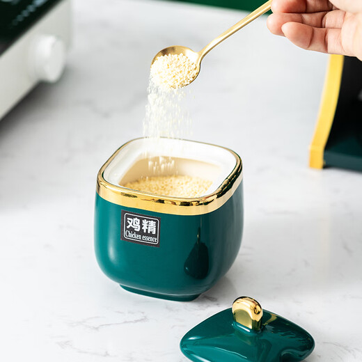 Ruishun light luxury seasoning box seasoning jar set seasoning bottle kitchen soy sauce bottle combination household salt seasoning jar storage rack new 15-piece set (full square jar)