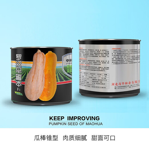 Zhongke Maohua Vegetable Seeds Luohan Zaomi Ben Pumpkin Seeds Super Sweet Noodles Ribbed Pumpkin Seeds Grown in the South Luohan Zaomi Ben 5g/bag