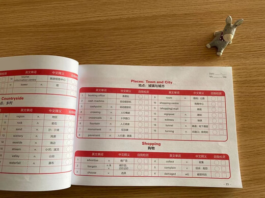 新东方 剑桥PET学霸词汇一本通 适用新版考试对应朗思B1青少版
