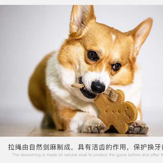 GiGwi dog toy teeth cleaning film rubber molar teeth cleaning and bite resistant puppy elderly dog molar dog toys pet toys