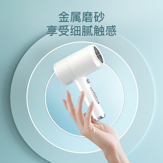 AUX Hair Dryer Home Negative Ions Will Not Damage Hair 1800W High Power High Wind Dormitory Hair Dryer Mini Small Portable Hot and Cold Wind Hair Dryer Gift Pearl White Upgraded Negative Ion Model