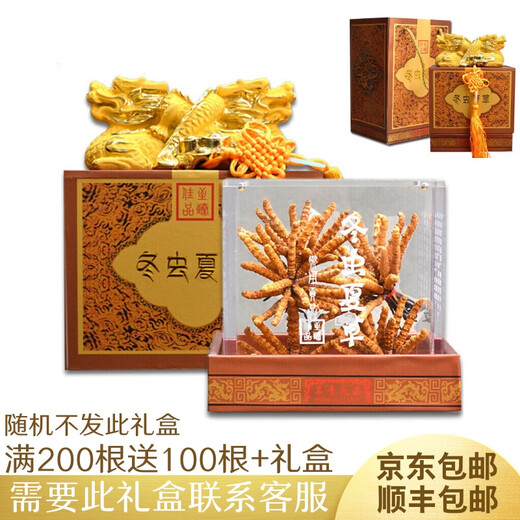 雄风道藏区雪域冬虫夏草 （规格2-3根/克）正宗虫草无断草礼盒装十根起