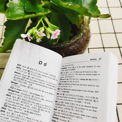 中考英语2600词（口袋本）中学生英语词典 便携装 中考 英语词点 词汇