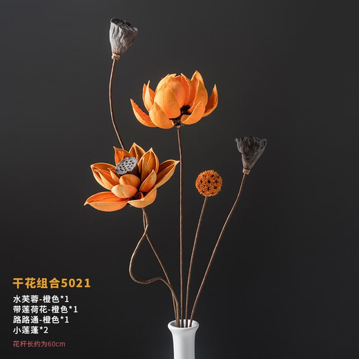荣弘发干花花束真花装饰摆件荷花风干莲蓬天然莲藕禅意插花中式客厅摆设 干花组合 5012