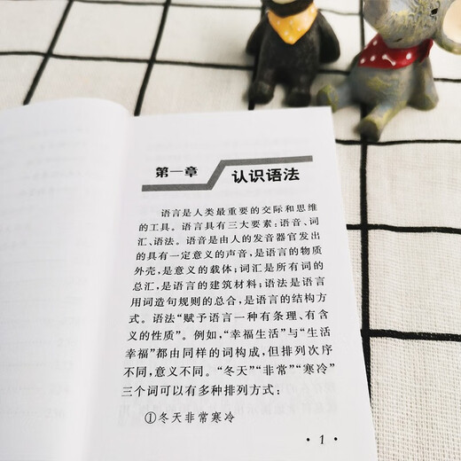 汉语语法知识（口袋本）汉语工具书 语法知识 汉语学习 便携本 2023年新版