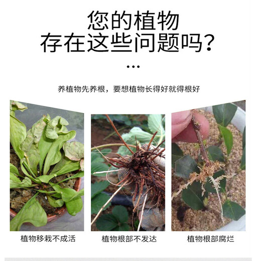 Senhuo Kuaisheng and indolinacetic acid cutting transplanting rooting powder promotes root strengthening and plant lawn flower growth regulator