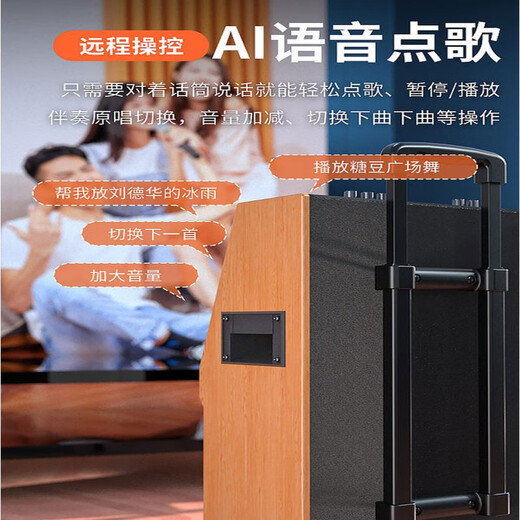 Jinzheng square dance audio with display screen outdoor audio karaoke all-in-one trolley speaker mobile Bluetooth home KTV audio karaoke machine large volume 21# Bluetooth wooden trolley flagship version (no microphone standard without U disk without bracket