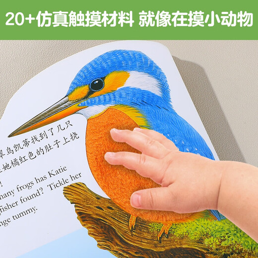 亮丽精美触摸书系列（全4册）小兔比利仿真触摸书幼儿启蒙早教书低幼认知绘本【0-2岁】宝宝绘本省钱卡