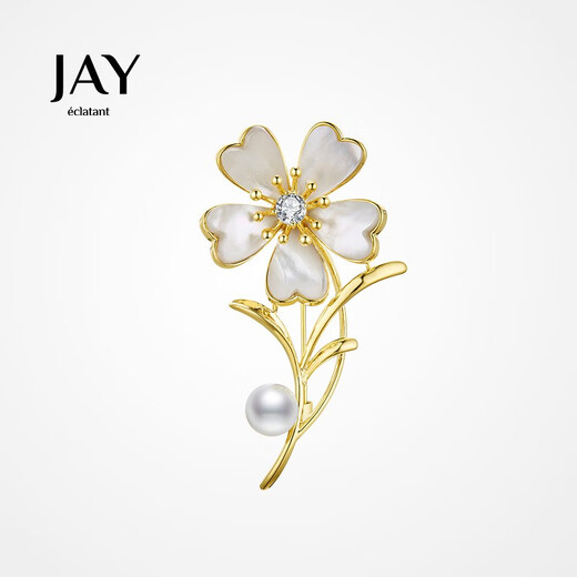 Jay brooch, high-end feminine corsage accessories gift box, birthday gift for mother, mother-in-law and elders