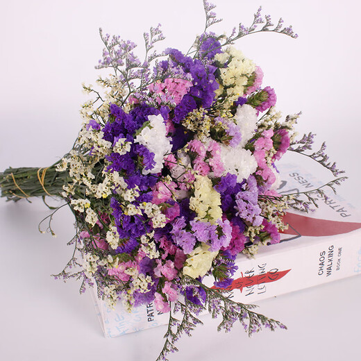 Love Yunnan Forget-Me-Not Dried Flowers Flower Ornaments Living Room Decoration Real Flower Arrangements Gypsophila Bouquet Festival and Birthday Matching Rose Red Yellow White Don't + Lover's Grass About 30 pcs