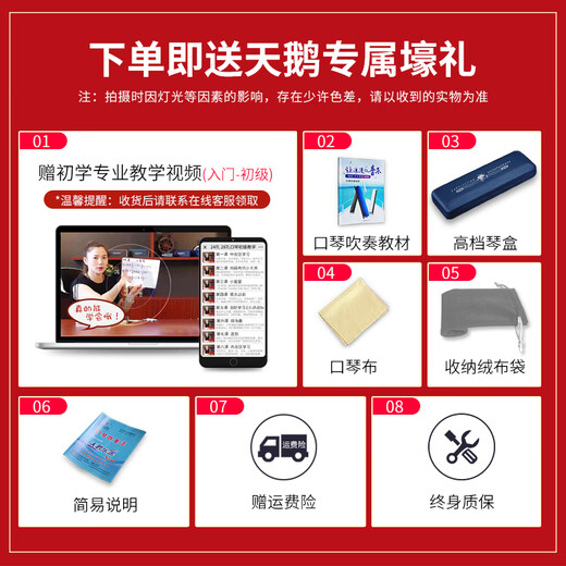 天鹅（SWAN）24孔复音口琴日本进口音簧高级专业演奏口琴C调（黑色）