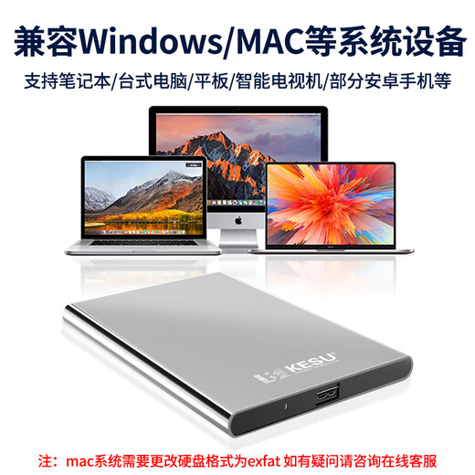 科硕（KESU） 移动硬盘大容量USB3.0 安全加密高速外接机械硬盘 大U盘 尊贵金属-皓月银+硬盘包 250GB