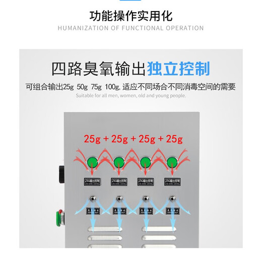 Maple CYJ16100A-Y100G ozone generator ozone disinfection machine ozone machine food factory warehouse storage farm sterilization and disinfection water treatment