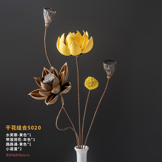 荣弘发干花花束真花装饰摆件荷花风干莲蓬天然莲藕禅意插花中式客厅摆设 干花组合 5012