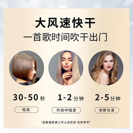 Dong Nailun hair dryer household hair dryer negative ion high-power high-speed hair dryer leafless high wind quick-drying barrel low noise portable 520 Valentine's Day gift for boyfriend and girlfriend, gift styling model, three-nozzle dazzling purple