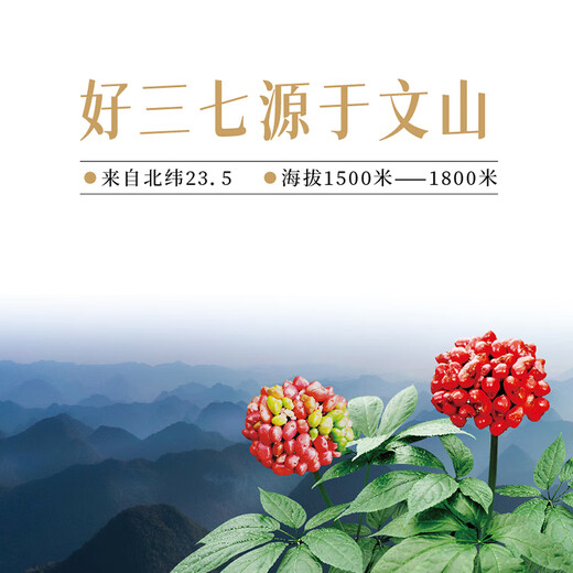 【医本善】三七粉 散瘀止血消肿定痛 便血外伤跌扑肿痛 正宗云南文山特级 纯野生3g×30袋 独立包装 三七粉  3g×30袋/罐