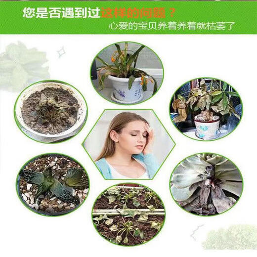 Special soil for Clivia, organic flower soil for growing flowers, Clivia nutritious soil for growing flowers, general planting soil, breathable fertilizer, Clivia carefully selected special soil 9.5 Jin Jin is equal to 0.5 kg