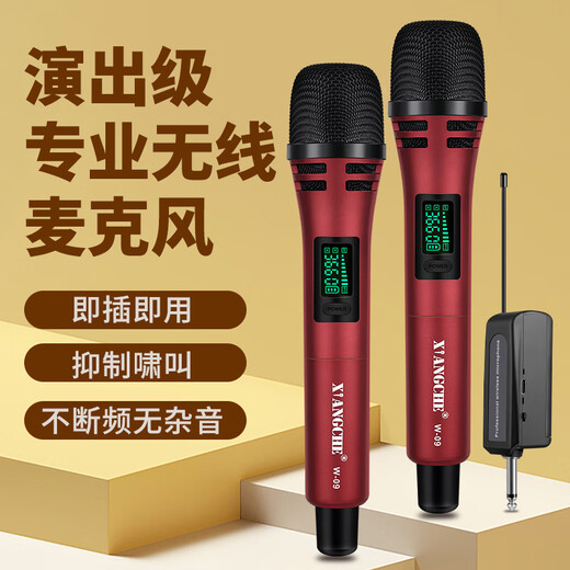 Ringing Wireless Microphone Handheld Microphone Outdoor Performance Singing Audio Amplifier Universal Anti-Howling U-section Hosting Conference Training Speech Trolley Speaker One-to-Two Wireless Microphone Rose Red