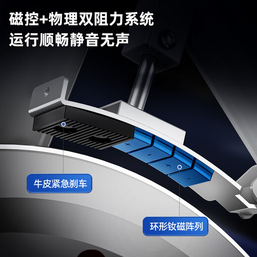 Yingerjian Spinning Bike Home Silent Magnetic Controlled Resistance Adjustment Intelligent Indoor Sports Weight Loss Gym Commercial Equipment White-Quick Burning Dashboard-Personal Trainer Online Guidance Free Shock Absorbing Pad