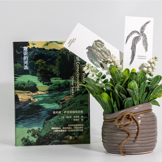 意识的河流 The River of Consciousness