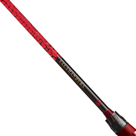 达亿瓦（DAIWA）达亿瓦21路亚竿新款火蜥蜴微物鳜鱼翘嘴打黑远投鲈鱼虫杆淡海泛用 2.03m /中软调直柄/682MLXS