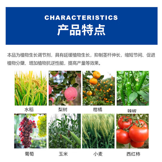 25% paclobutrazol fruit tree, mango growth control, shoot dwarfing agent, wheat adjustment and yield increase plant growth regulator 1000g (12 bottles in the box)