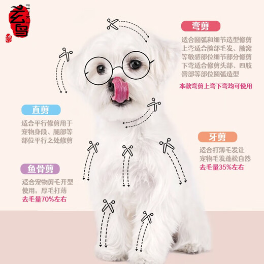 Black Bird Pet Scissors Dog Grooming Shearing Scissors Small Dog Teddy Haircut Straight Scissors Curved Scissors Teeth Scissors Fish Bone Scissors Trimming Upgraded Black Gold (Straight + Curved + Teeth + Fish Bones)