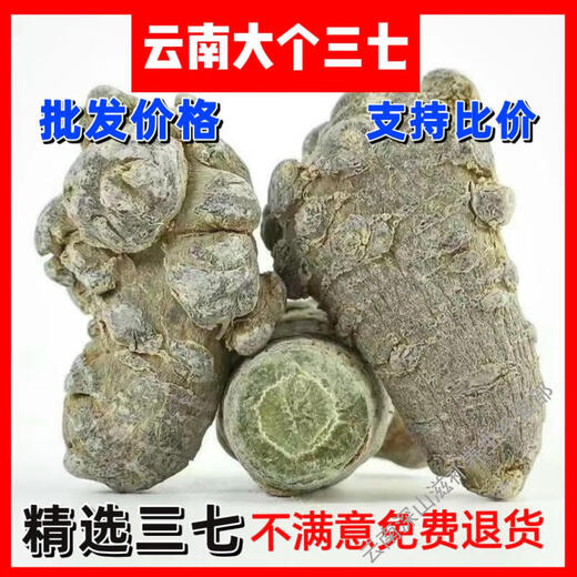 Yunnan Wenshan Spring Panax notoginseng whole wild Panax notoginseng wholesale price unwaxed Panax notoginseng heads soaked in water agricultural products 250g (15 pieces)