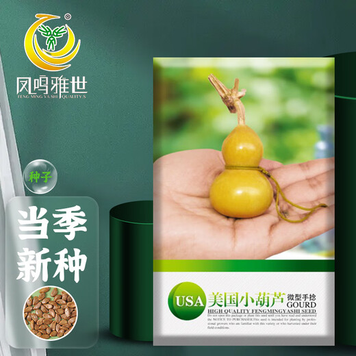 Fengming Yashi miniature gourd seeds Wenwan gourd seeds balcony courtyard four-season planting hand-twisted small gourd seeds 10 capsules