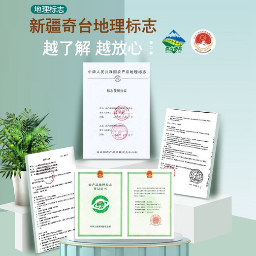 七河源新疆小麦粉10斤 奇台地标 家庭通用面粉（新国标GB/T 1355-2021）