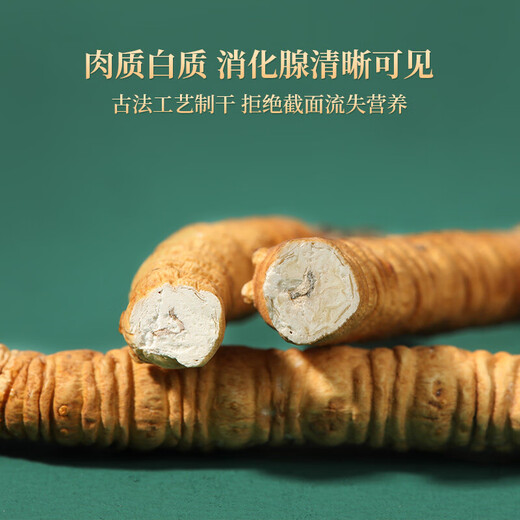 紫蓝花海冬虫夏草 断虫草 精品纯肉节断草 自食高性价比 大号纯肉节100克装【全家滋补】