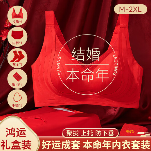 Cat, Man, Horse, Zodiac Year, Women's Underwear Set, Red Small Breast Push Up, Wedding Festive Bra, Underwear, Socks Gift Box