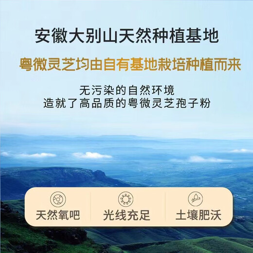 Yuewei Ganoderma spore powder 60g/30 bags in large box to improve immunity for middle-aged and elderly people Yuewei Ganoderma broken spore powder Yuewei Ganoderma spore powder 3 boxes (real hair 4 boxes)