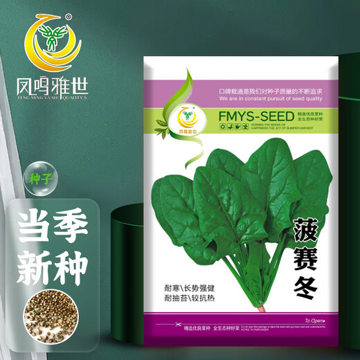 Fengming Yashi cold-resistant round-leaf spinach seeds four-season vegetable seed spinach winter-resistant spinach seeds 1000 capsules