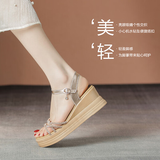 ZHR凉鞋女新品时尚捷克钻一字带坡跟女鞋夏季网红百搭透气罗马鞋子女 香槟色 （后跟6.5CM--搭扣款） 36