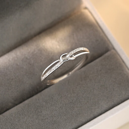 BJYLS999 pure silver baby's breath ring for women, niche design, light luxury index finger ring, plain ring, frosted sterling silver tail ring gift, S999 pure silver material (marked with pure silver 999)