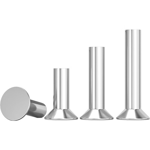 Tianzhuo Hardware GB869 304 stainless steel countersunk head solid rivet flat head flat cone head knock-type M2M2.5M3M4M5M6M8 M8*30-5 pcs