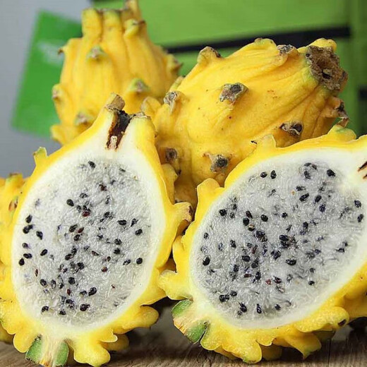 Red-skinned dragon fruit, beautiful fruit seeds, white dragon fruit seeds, green dragon fruit, red dragon fruit seeds, potted bonsai seeds, red-skinned, red-fleshed dragon fruit seeds 2000 capsules