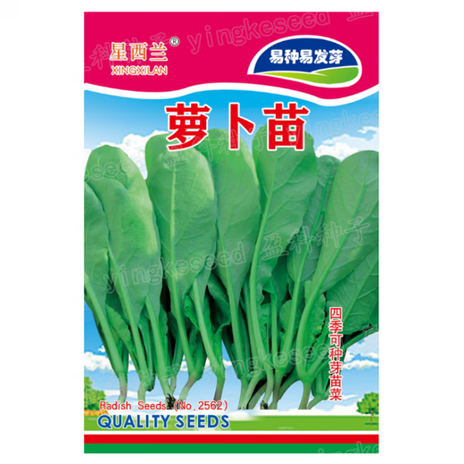 Complete collection of various vegetable seeds for the vegetable garden in all seasons, autumn, coriander, radish, cabbage, tomato, lettuce, green onion, spinach seeds, dark brown, 30 pieces of pepper