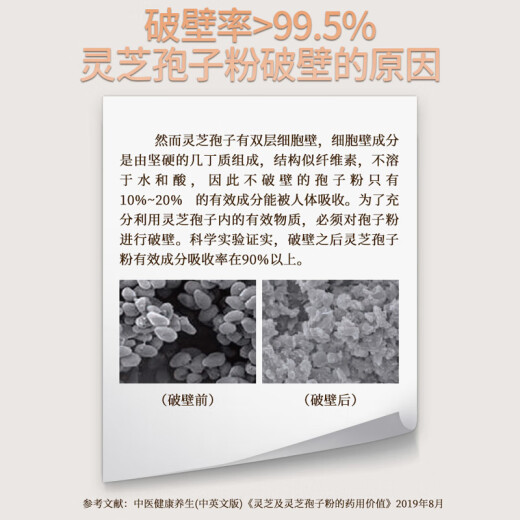 Peking Tongrentang Break Wand Ganoderma lucidum spore powder 30g chinesische pflanzliche medikamente zur Stärkung der Milz und des Magen