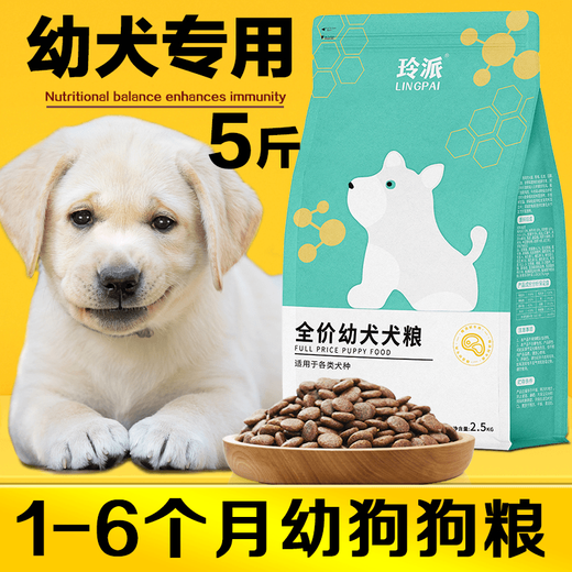 Universal Labrador puppy dog food for 0-6 months, small, medium and large dogs, Golden Retriever, Teddy Bichon, nutritional combination, stomach protection, calcium supplement, meat floss dog food 500g (1Jin Jin is equal to 0.5kg)