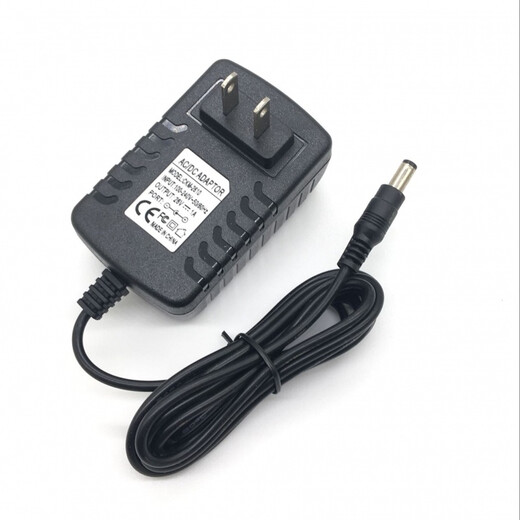 Electric fascia gun charger 24V1A universal 25.2V26V12.6V28V massage gun 16.8V1A charging cable 24V1A large and small holes universal one meter