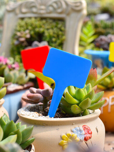 Gardening label plastic ground waterproof plug-in succulent plant T-type 1-type hanging tag flower potted small succulent label 3 colors 30 pieces