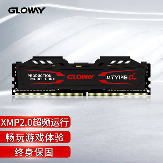 Gloway 8GB DDR4 2666 Desktop Memory TYPE-Series-Selected Chips/Game Overclocking/Stable Compatibility