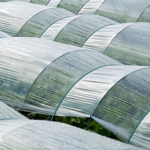 Litian white plastic film, small shed film plastic, thermal insulation and moisturizing vegetable greenhouse film, mulching film, waterproof plastic film, 4 wires thick, 3 meters wide and 10 meters long