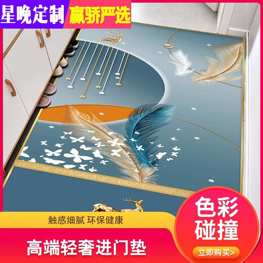 Xingwan high-end light luxury door mat living room mat door non-slip foot mat bedroom coffee table mat study simple mat can be customized New picture-1 200 width X 250 length (cm)
