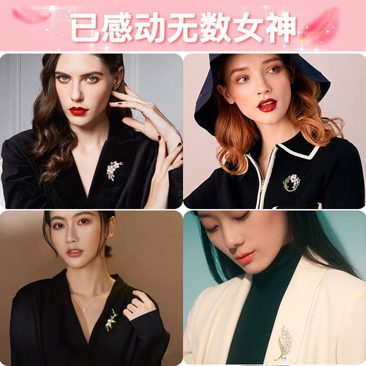 Ancient brooch, high-end ladies light luxury corsage gift box, exquisite niche pin buckle, birthday gift for ladies, practical T328 literary and fresh brooch 5-piece set